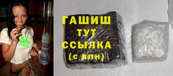 сатива Коряжма