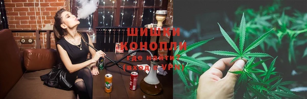 ГАЛЛЮЦИНОГЕННЫЕ ГРИБЫ Великий Новгород