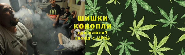 сатива Коряжма