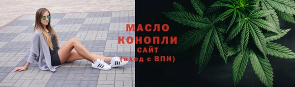 сатива Коряжма