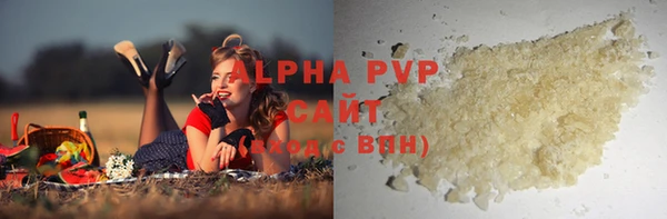 сатива Коряжма