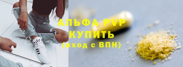 сатива Коряжма