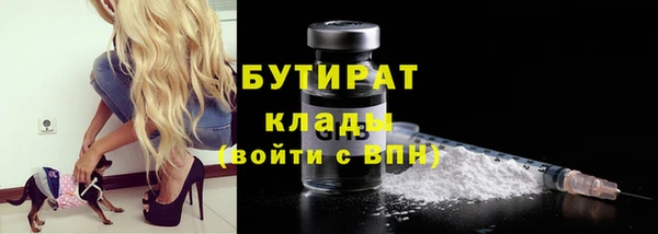 сатива Коряжма