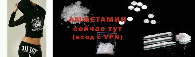 сатива Коряжма