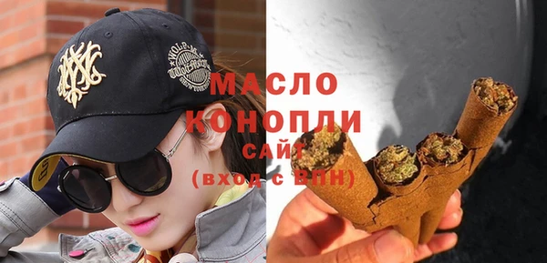 сатива Коряжма