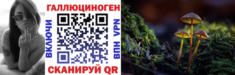 Псилоцибиновые грибы GOLDEN TEACHER  Хилок 